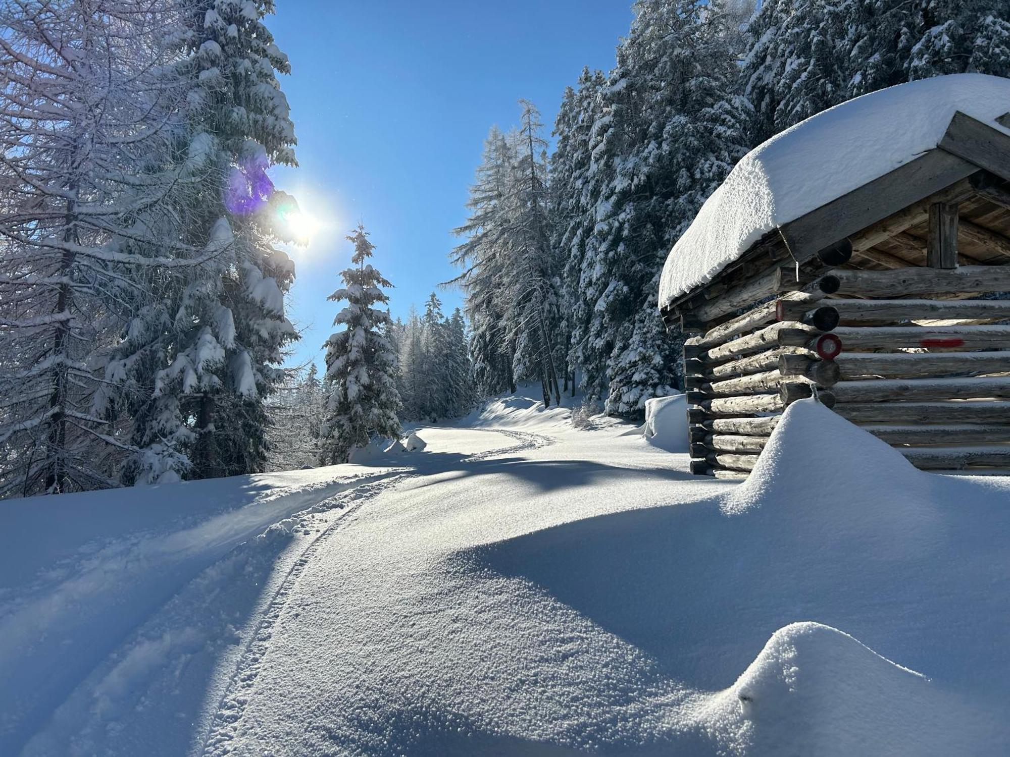 Stoacherhof Apartments Matrei am Brenner Eksteriør billede